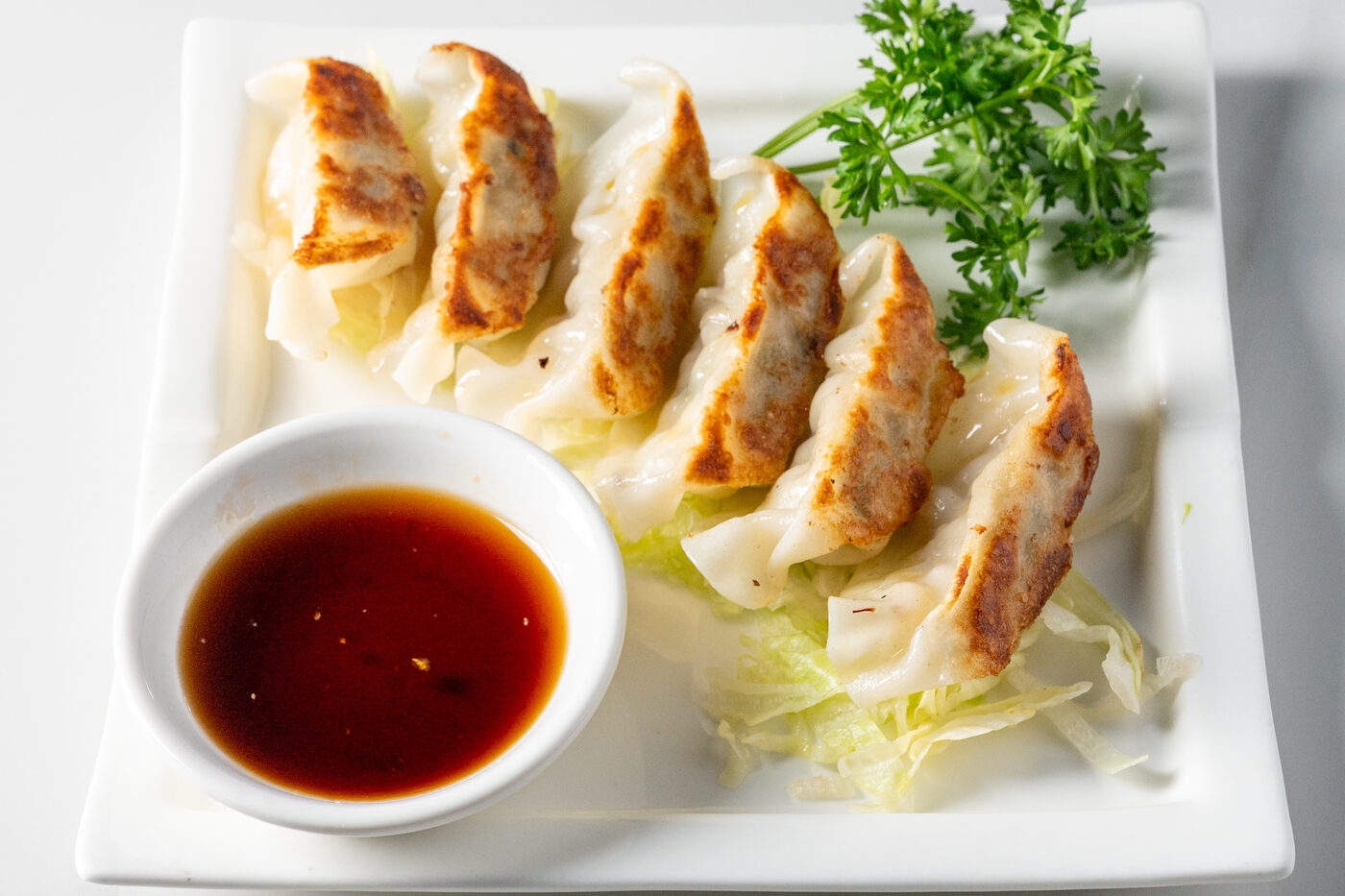 Chicken Gyoza pan-fried dumplings with dipping sauce - East Moon Centennial CO