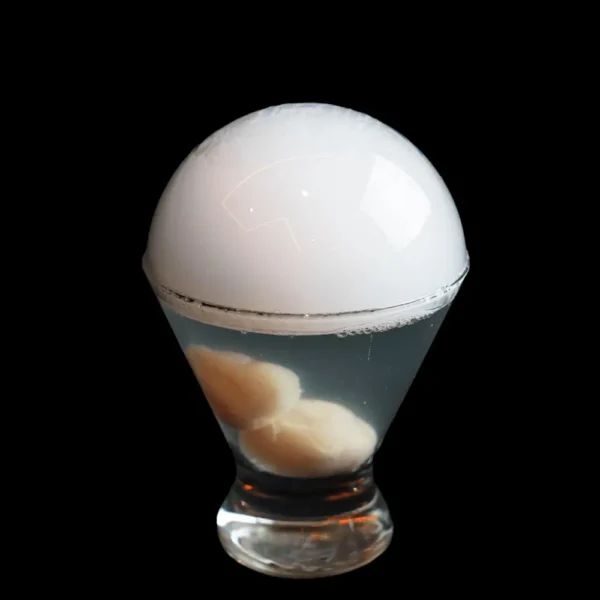 Cocktails and Beverages - Signature Asian cocktails